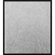 Фильтр ALLERGIST A804
