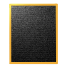 Фильтр ALLERGIST A703